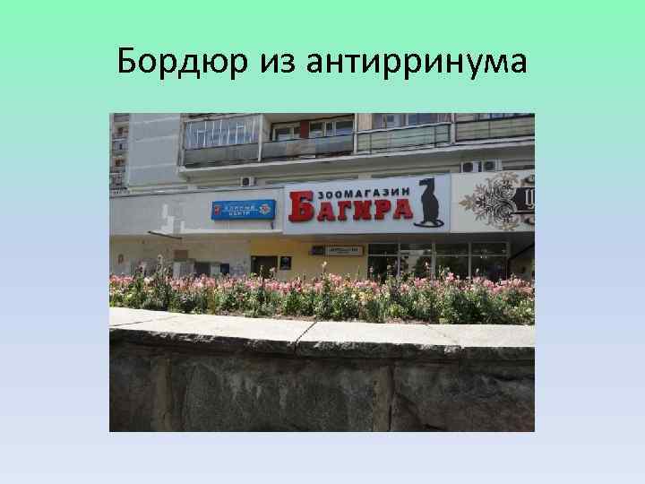 Бордюр из антирринума 