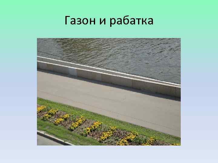 Газон и рабатка 