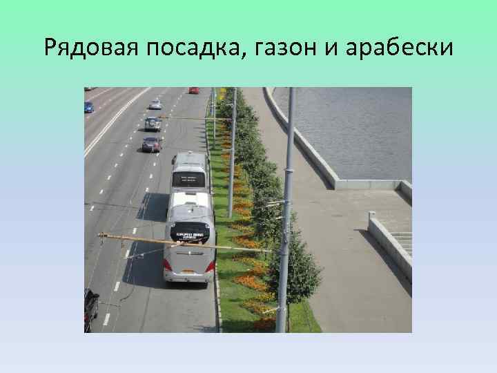 Рядовая посадка, газон и арабески 