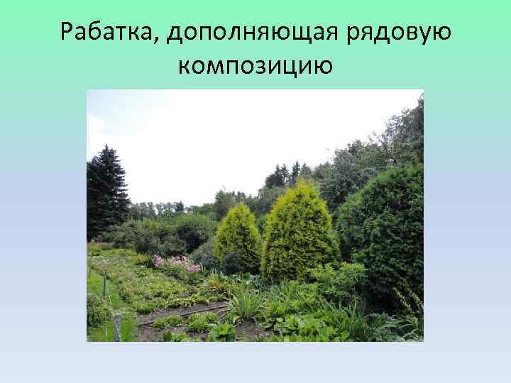 Рабатка, дополняющая рядовую  композицию 