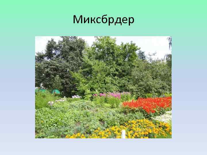 Миксбрдер 