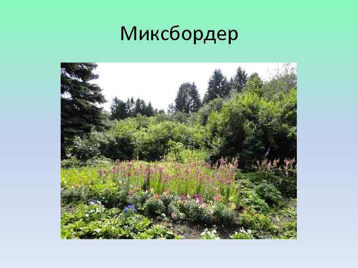 Миксбордер 