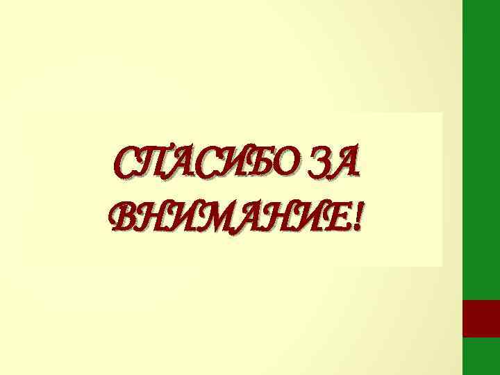 СПАСИБО ЗА ВНИМАНИЕ! 