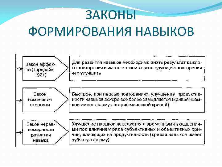 ЗАКОНЫ ФОРМИРОВАНИЯ НАВЫКОВ ЗАКОНЫ ФОРМИРОВАНИЯ НАВЫКОВ
