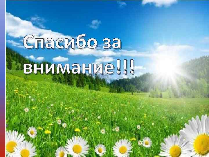 Спасибо за внимание!!! 