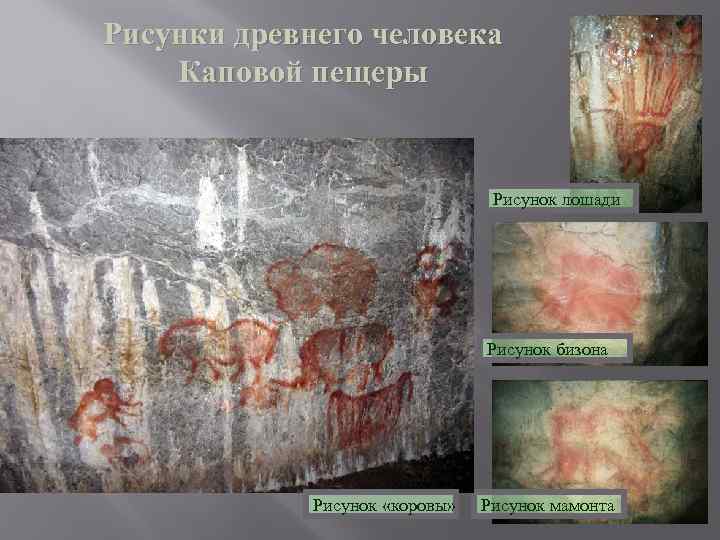Рисунки древнего человека Каповой пещеры      Рисунок лошади  