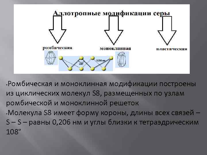  • Ромбическая и моноклинная модификации построены из циклических молекул S 8, размещенных по