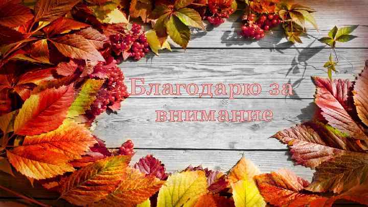 Благодарю за внимание  Благодарю за   внимание 