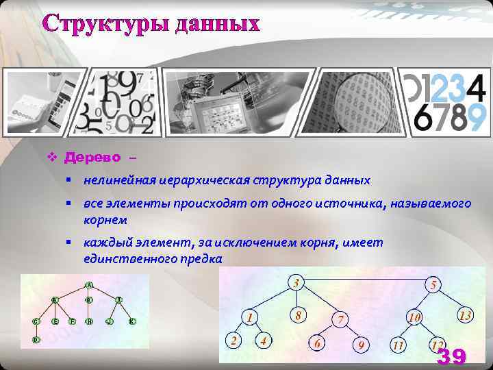 v Дерево –  § нелинейная иерархическая структура данных  § все элементы происходят