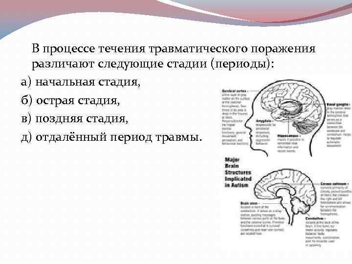  В процессе течения травматического поражения  различают следующие стадии (периоды): а) начальная стадия,