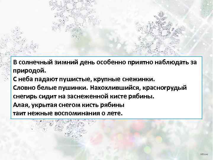 В солнечный зимний день особенно приятно наблюдать за природой. С неба падают пушистые, крупные