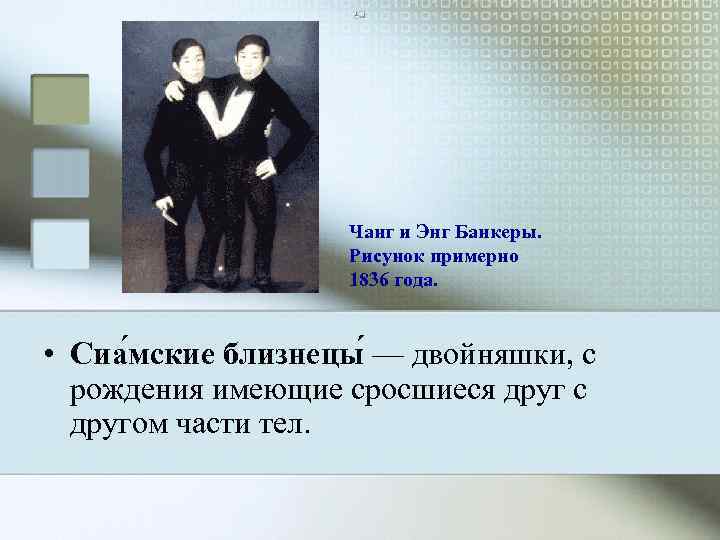     Чанг и Энг Банкеры.     Рисунок примерно