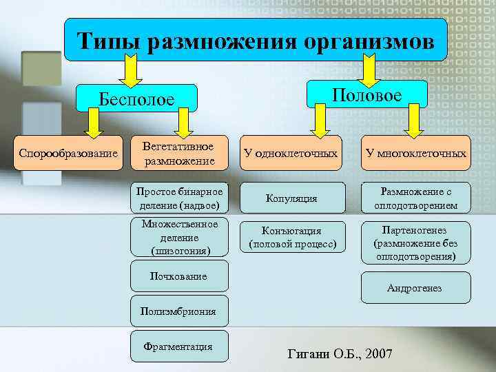    Типы размножения организмов   Бесполое     