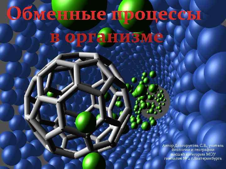 Обменные процессы в организме   Автор Долгорукова С. В. , учитель  