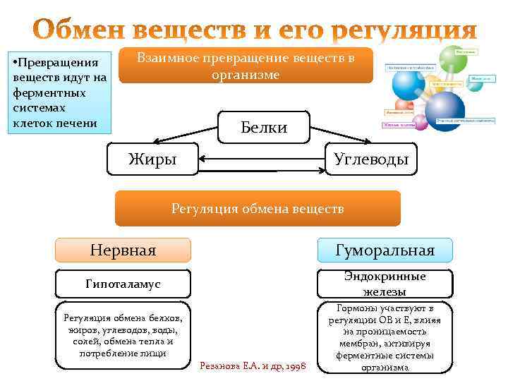  • Превращения   Взаимное превращение веществ в веществ идут на  