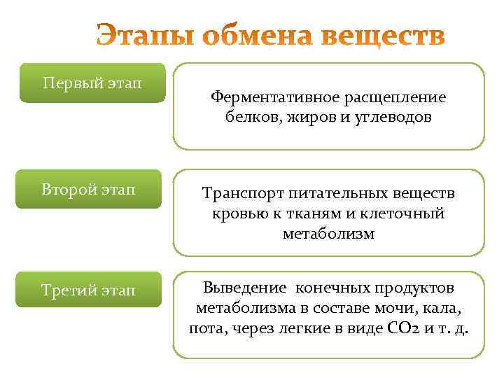 Первый этап   Ферментативное расщепление   белков, жиров и углеводов  Второй