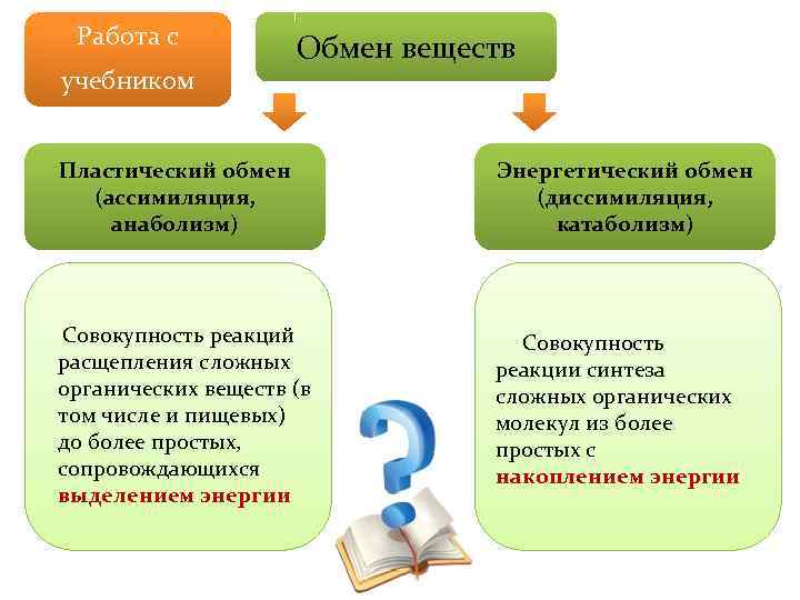 Работа с  Обмен веществ учебником  Пластический обмен   Энергетический обмен