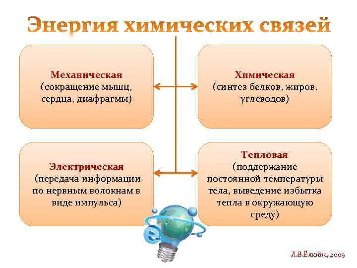   Механическая   Химическая (сокращение мышц,  (синтез белков, жиров,  сердца,