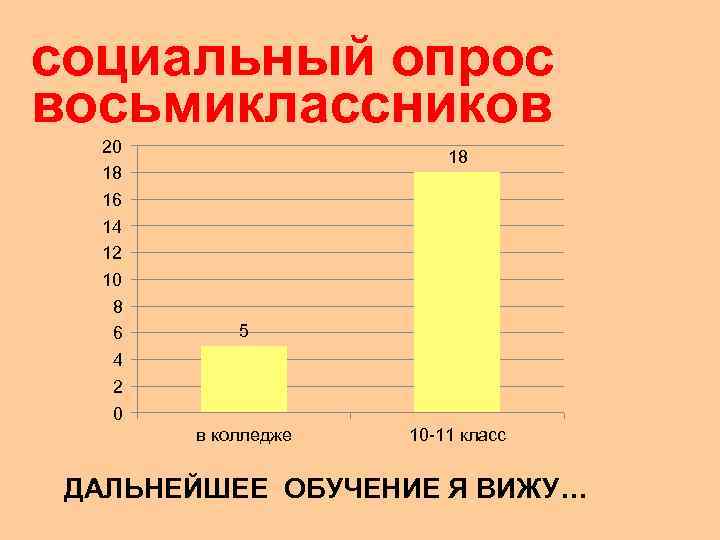 социальный опрос восьмиклассников  20     18  16  14