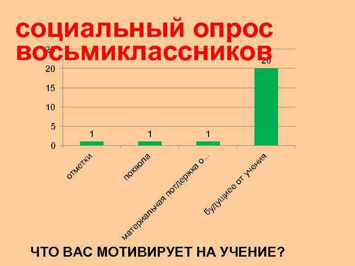 социальный опрос восьмиклассников 25  20      20  15