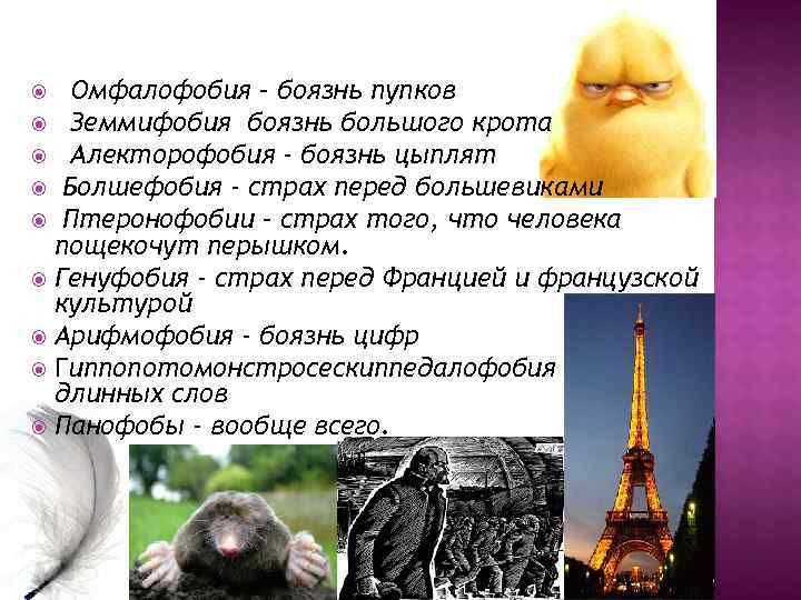   Омфалофобия – боязнь пупков  Земмифобия боязнь большого крота  Алекторофобия -