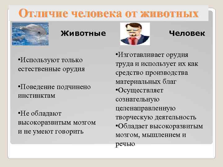 Отличие человека от животных   Животные    Человек   