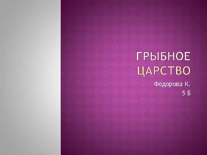 Федорова К.   5 Б 