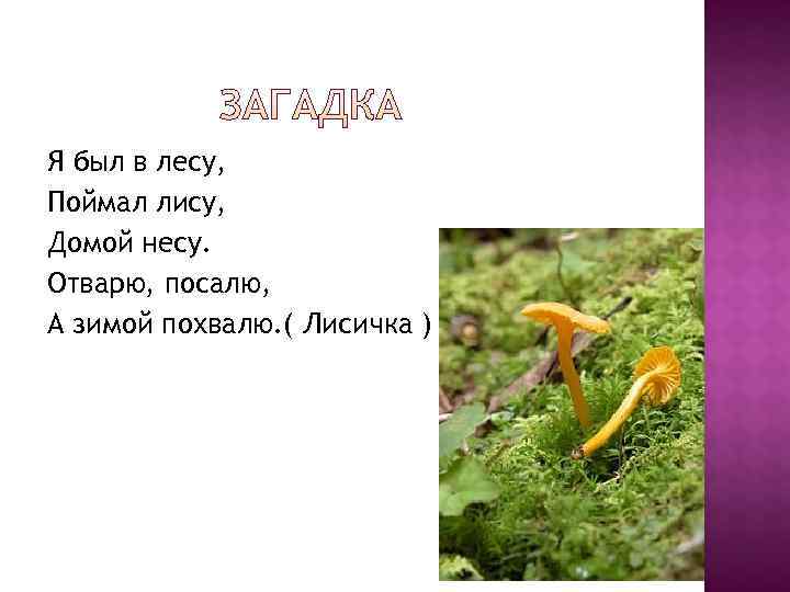 Я был в лесу, Поймал лису, Домой несу. Отварю, посалю, А зимой похвалю. (