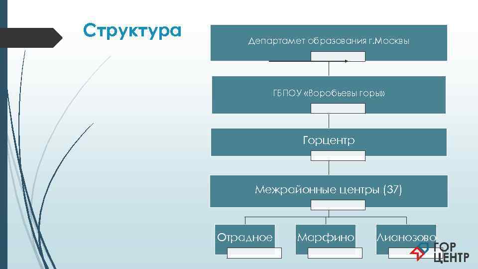 Структура  Департамет образования г. Москвы     ГБПОУ «Воробьевы горы» 