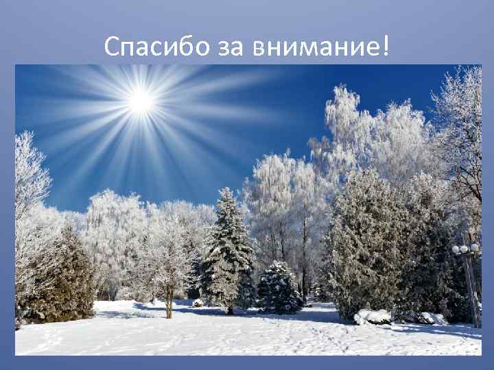 Спасибо за внимание! 