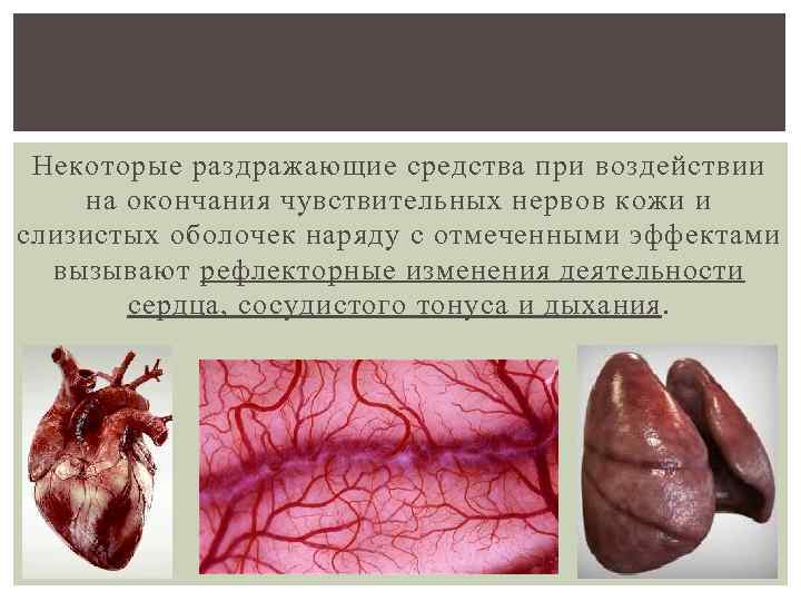  Некоторые раздражающие средства при воздействии на окончания чувствительных нервов кожи и слизистых оболочек