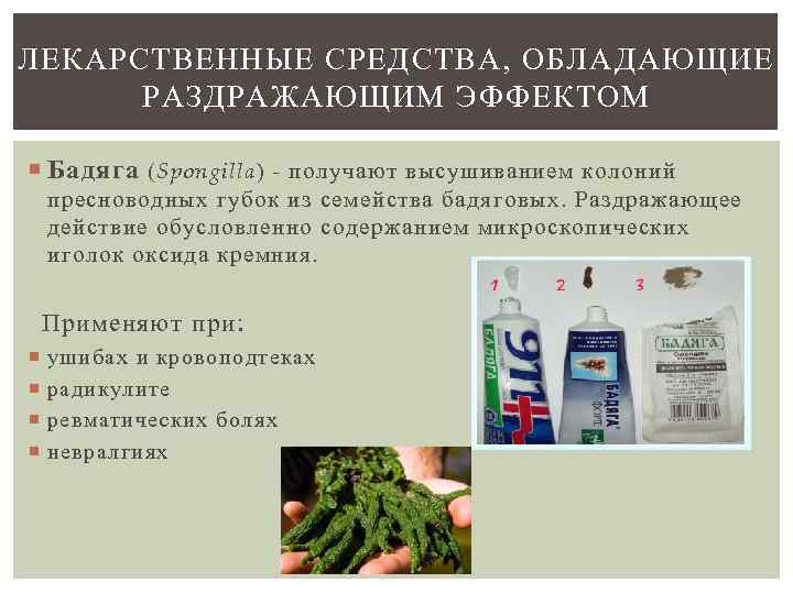 ЛЕКАРСТВЕННЫЕ СРЕДСТВА, ОБЛАДАЮЩИЕ  РАЗДРАЖАЮЩИМ ЭФФЕКТОМ  Бадяга (Spongilla) - получают высушиванием колоний 