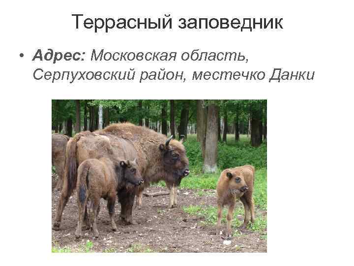  Террасный заповедник • Адрес: Московская область, Серпуховский район, местечко Данки 