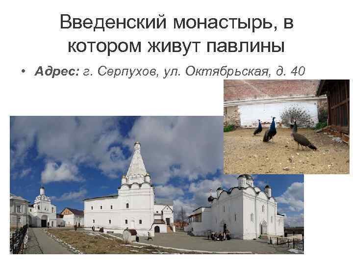  Введенский монастырь, в  котором живут павлины • Адрес: г. Серпухов, ул. Октябрьская,