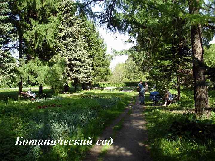Ботанический сад 