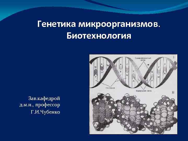   Генетика микроорганизмов.    Биотехнология   Зав. кафедрой д. м.