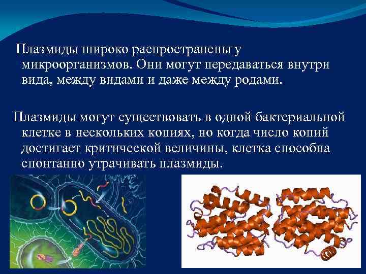 Плазмиды широко распространены у  микроорганизмов. Они могут передаваться внутри  вида, между видами