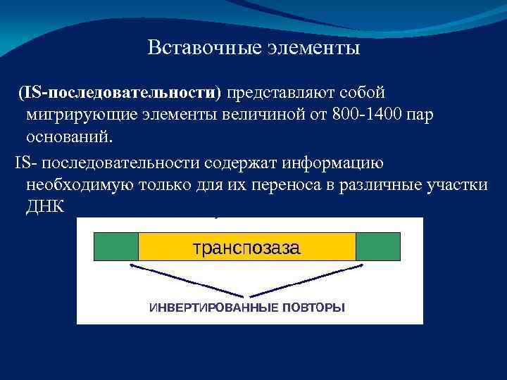     Вставочные элементы (IS-последовательности) представляют собой  мигрирующие элементы величиной от