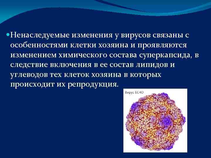 Ненаследуемые изменения у вирусов связаны с  особенностями клетки хозяина и проявляются 