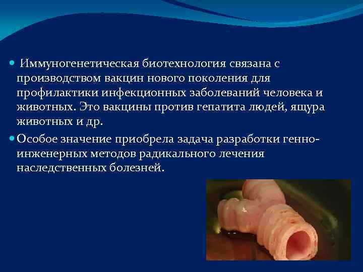  Иммуногенетическая биотехнология связана с  производством вакцин нового поколения для  профилактики инфекционных