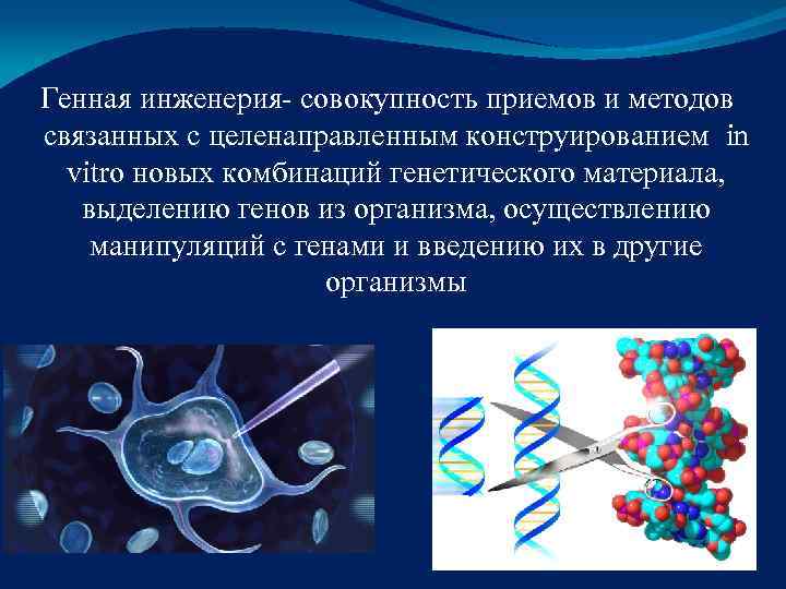 12 методов в картинках генная инженерия