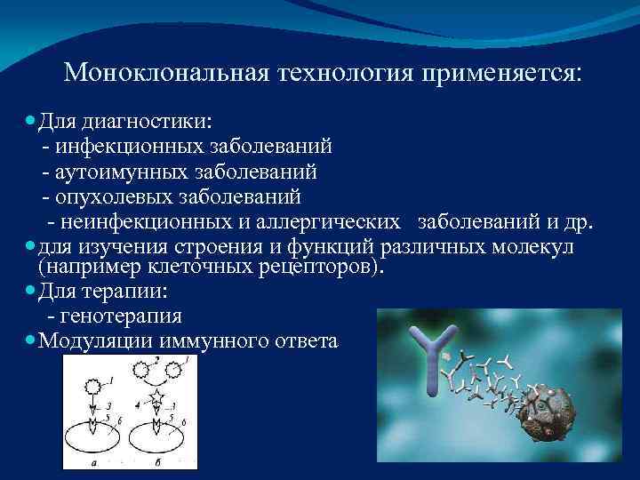   Моноклональная технология применяется:  Для диагностики: - инфекционных заболеваний  - аутоимунных