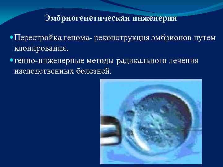   Эмбриогенетическая инженерия  Перестройка генома- реконструкция эмбрионов путем  клонирования.  генно-инженерные