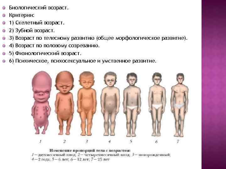  Биологический возраст. Критерии: 1) Скелетный возраст. 2) Зубной возраст. 3) Возраст по телесному