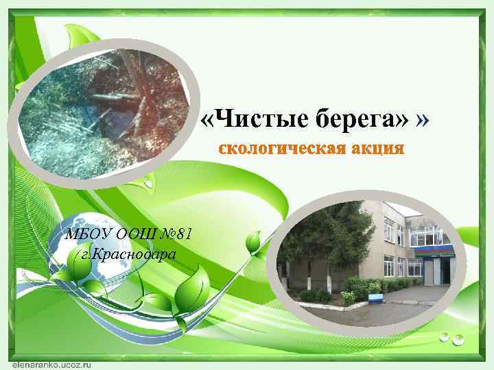    «Чистые берега» » МБОУ ООШ № 81 г. Краснодара 