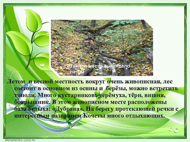     Так это место выглядело     летом Летом