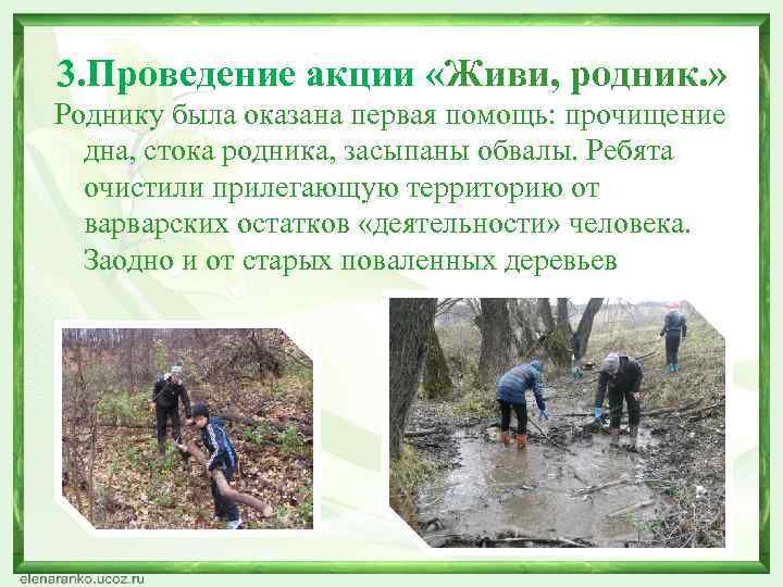 3. Проведение акции «Живи, родник. » Роднику была оказана первая помощь: прочищение  дна,