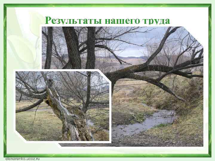 Результаты нашего труда 