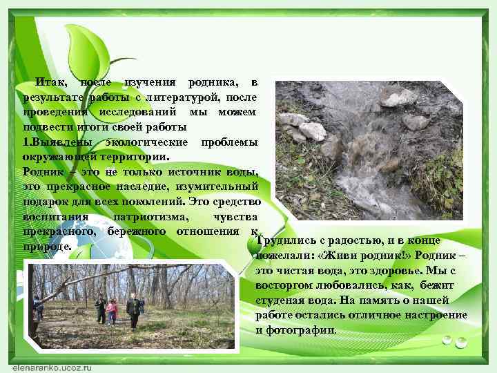  Итак,  после изучения родника,  в результате работы с литературой,  после