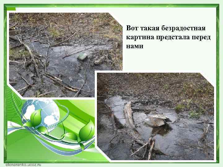 Вот такая безрадостная картина предстала перед нами 